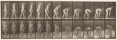 Tallrik 204. Stanna för att plocka upp bollen av Eadweard Muybridge