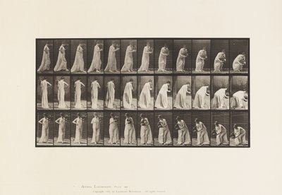 Tallrik 205. Bärande och lutande med vas, 1885 av Eadweard Muybridge