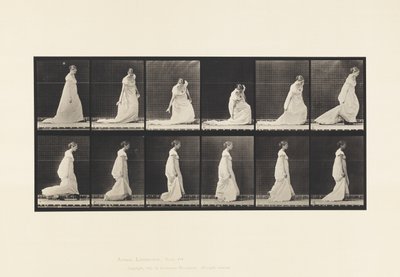 Skylt 207. Böjtåg och lyfttåg, 1885 av Eadweard Muybridge