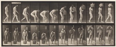 Platta 218. Lutande och lyftande hel Demijohn till axeln av Eadweard Muybridge