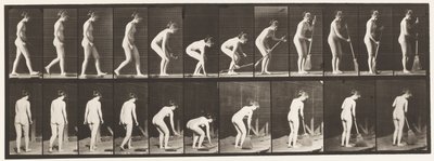Tallrik 219. Böja och lyfta kvast och sopa av Eadweard Muybridge