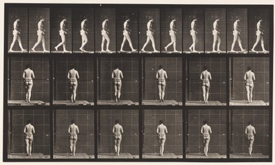 Plåt 21. Går, båda armbågarna böjda av Eadweard Muybridge