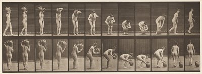 Tallrik 225. Ta bort vattenburken från axeln till marken av Eadweard Muybridge