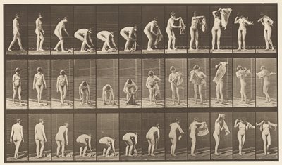 Tallrik 227. Lyftduk från marken, 1872-1885 av Eadweard Muybridge