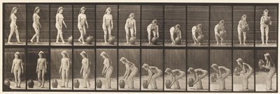 Tallrik 228. Vändning och lyft av vattenburk från marken av Eadweard Muybridge