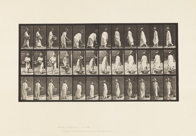 Plåt 229. Placera korgen på marken och vända av Eadweard Muybridge