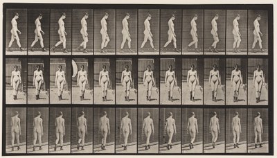 Skylt 22. Gå, med högklackade stövlar på, 1872-1885 av Eadweard Muybridge