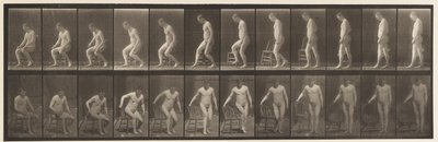 Skylt 236.Placing Diair and Sitting Down, 1885 av Eadweard Muybridge