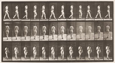Tavla 23. Går, höger hand vid hakan, högklackade skor på av Eadweard Muybridge
