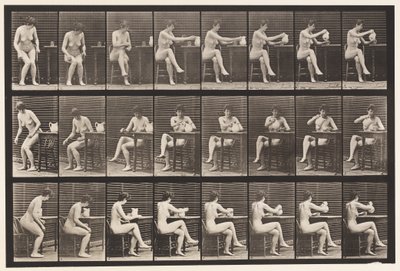 Tallrik 244. Sittande korsande ben, fyllningsbägare från Pitcher av Eadweard Muybridge