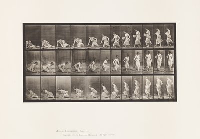 Tallrik 248. Sitter på marken av Eadweard Muybridge