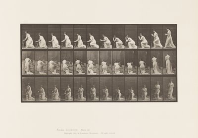 Tallrik 253. Knästående armbågar på stolen, händerna knäppta, 1885 av Eadweard Muybridge
