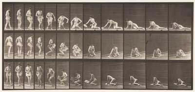 Plåt 256. Liggande på marken och läser, 1872-1885 av Eadweard Muybridge