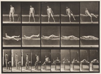 Tallrik 259. Ligger på en soffa och vänder sig på sidan, 1885 av Eadweard Muybridge