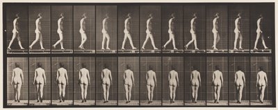 Tavla 25. Går, med högklackade skor på av Eadweard Muybridge