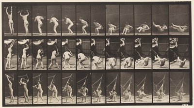 Plåt 262. Att ta sig ur hängmattan av Eadweard Muybridge