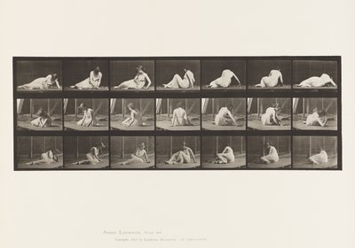 Skylt 267. Vrid och ändra position på marken, 1885 av Eadweard Muybridge