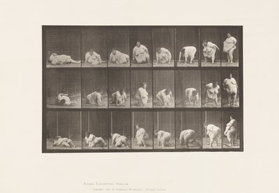 Plåt 268. Uppstår från marken, 1885 av Eadweard Muybridge