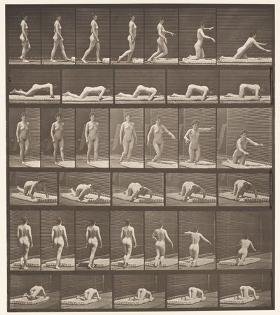 Tavla 272. Snubblande och fallande på marken av Eadweard Muybridge