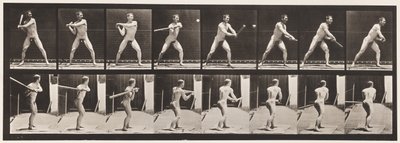 Tallrik 279.Base-ball; Batting, 1885 av Eadweard Muybridge