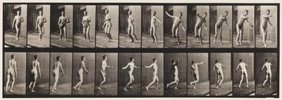 Tallrik 289.Cricket; Round Arm Bowling, 1885 av Eadweard Muybridge