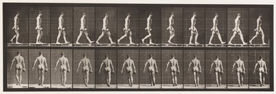 Skylt 28. Går, bär 50 lb. Dumb-Bell i höger hand, 1872-1885 av Eadweard Muybridge