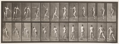 Tallrik 290.Cricket; Over Arm Bowling, 1885 av Eadweard Muybridge