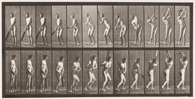 Tallrik 291.Cricket; Vadd; Drive, 1885 av Eadweard Muybridge