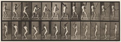 Tallrik 292.Cricket; Vadd; Tillbaka ut, 1885 av Eadweard Muybridge