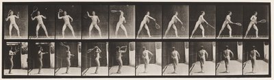 Tallrik 294. Lawn Tennis; Servering av Eadweard Muybridge