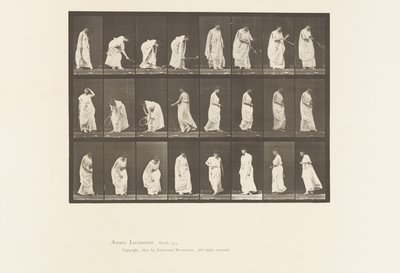 Tallrik 299. Leker med en boll av Eadweard Muybridge