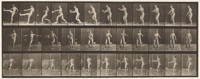 Tallrik 301. Fotboll; Punt, 1885 av Eadweard Muybridge