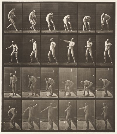 Plåt 302. Plocka upp en boll och kasta den, 1885 av Eadweard Muybridge