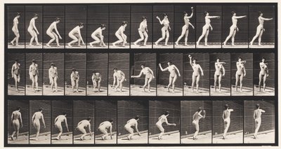 Plåt 303. Plocka upp en boll och kasta den, 1872-1885 av Eadweard Muybridge