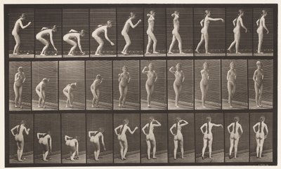Tallrik 304. Plocka upp en boll och kasta den av Eadweard Muybridge
