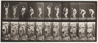 Plåt 308. Kasta hammaren, 1885 av Eadweard Muybridge