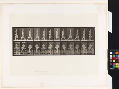 Tavla 30. Går, bär en hink med vatten i varje hand av Eadweard Muybridge