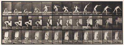 Plåt 310. Putting the Shot, 1885 av Eadweard Muybridge