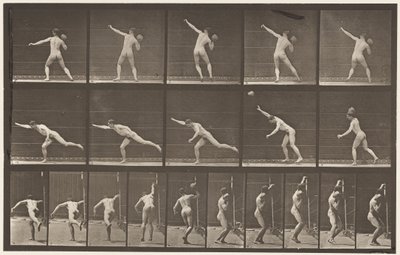 Plåt 313. Heaving a 20-lb Rock, 1885 av Eadweard Muybridge