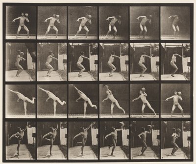 Tallrik 315. Hänger en 20-lb sten av Eadweard Muybridge