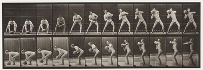 Skylt 318. Lyfta en 75-lb sten, 1872-1885 av Eadweard Muybridge