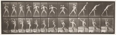 Tallrik 319. Hänger en 75 lb sten av Eadweard Muybridge