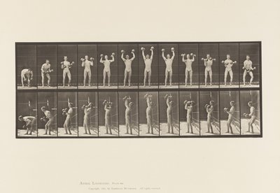 Tallrik 322. Man lyfter hantlar av Eadweard Muybridge