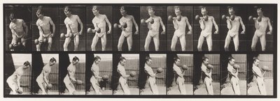 Tallrik 324. Curling 50-lb. Dumb-Bell, modell, 3/4 längd av Eadweard Muybridge