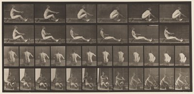 Plåt 328. Rodd av Eadweard Muybridge