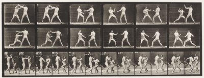 Tallrik 329. Boxning; (Skor) av Eadweard Muybridge