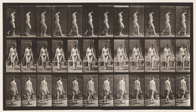 Tavla 32. Går, bär en hink med vatten i varje hand av Eadweard Muybridge