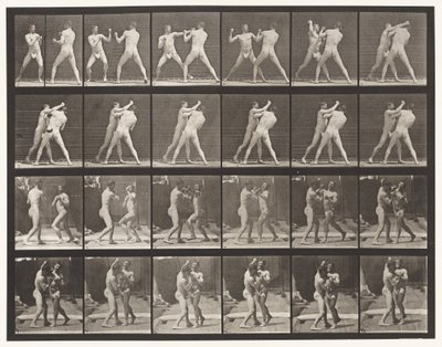 Tallrik 330. Boxning; Cross-Counter (skor) av Eadweard Muybridge