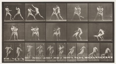 Tallrik 331. Boxning; Stopp för Cross-Butocks av Eadweard Muybridge