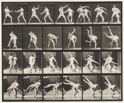Tallrik 332. Boxning; Cross-rumpor (skor) av Eadweard Muybridge
